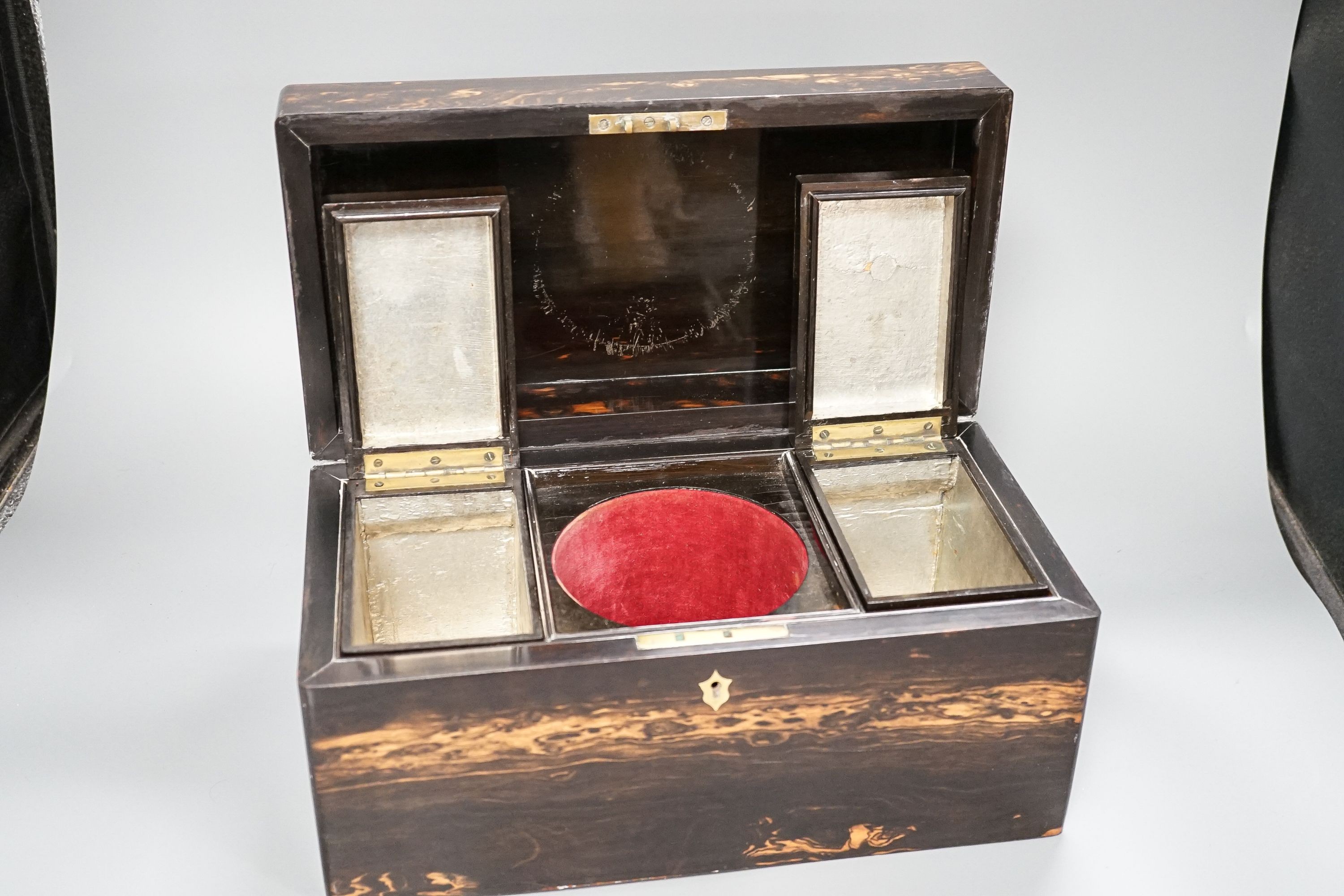 A Victorian coromandel wood tea caddy (lacking mixing bowl), height 17cm